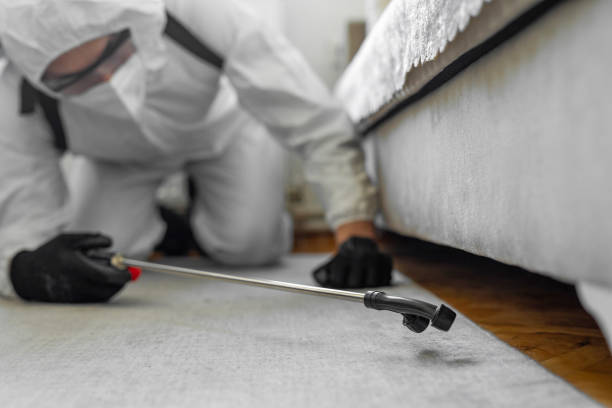 Professional Cockroach Control technician working in Grove Hill, AL
